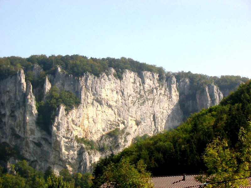 Schaufels